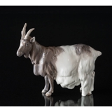 Goat standing calmly, Royal Copenhagen figurine no. 4726
