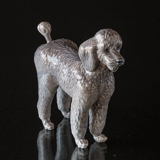 Poodle standing curiously, Royal Copenhagen dog figurine no. 4757