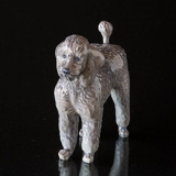 Poodle standing curiously, Royal Copenhagen dog figurine no. 4757