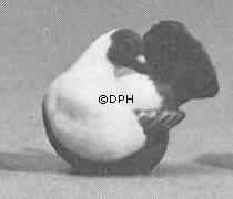 Due, Royal Copenhagen fugle figur nr. 4787