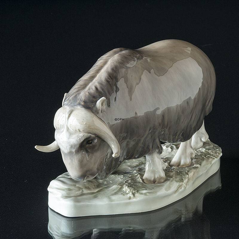 Moskusokse, Royal Copenhagen figur 530 (1894-1922) Repareret v/hornene (Meget sjælden)