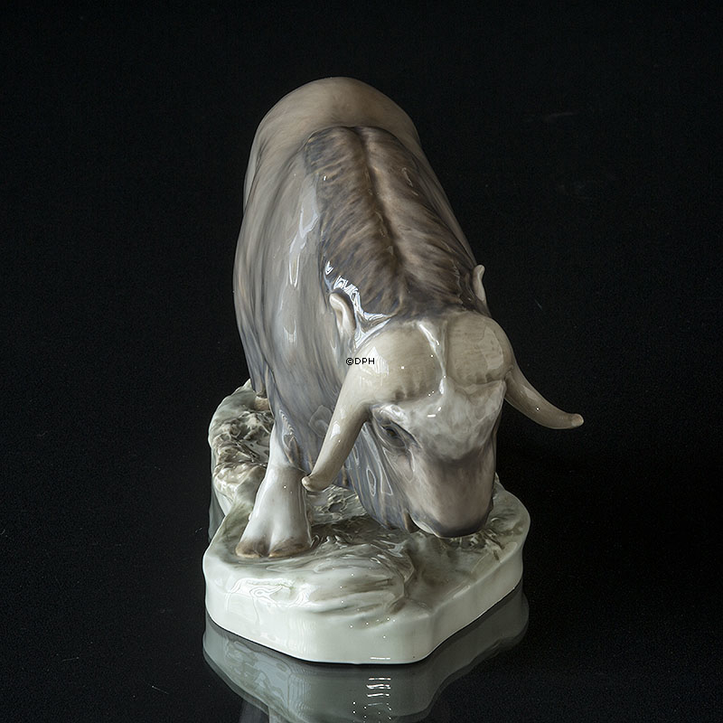 Moskusokse, Royal Copenhagen figur 530 (1894-1922) Repareret v/hornene (Meget sjælden)