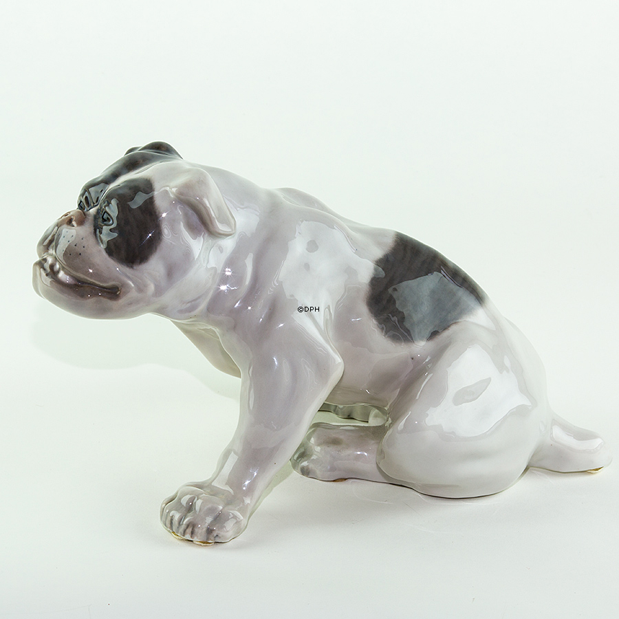 Engelsk bulldog, 18x33cm, Royal Copenhagen figur nr. 778 (Signeret Knud Kyhn 1907)