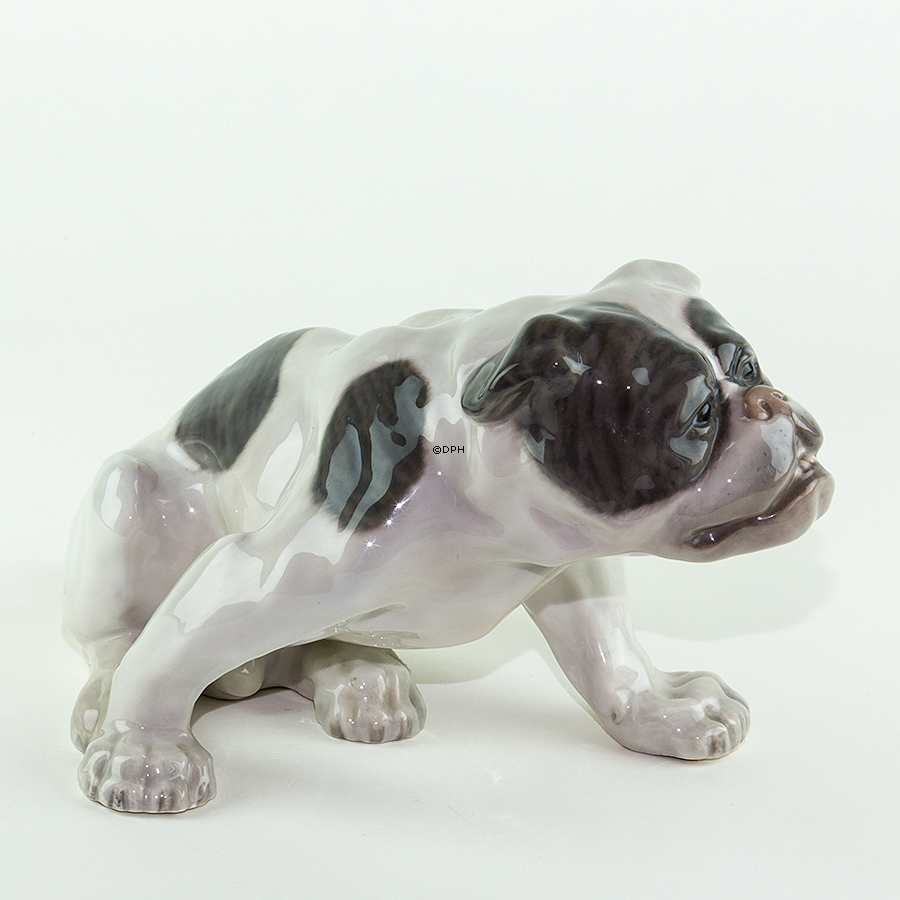 Engelsk bulldog, 18x33cm, Royal Copenhagen figur nr. 778 (Signeret Knud Kyhn 1907)