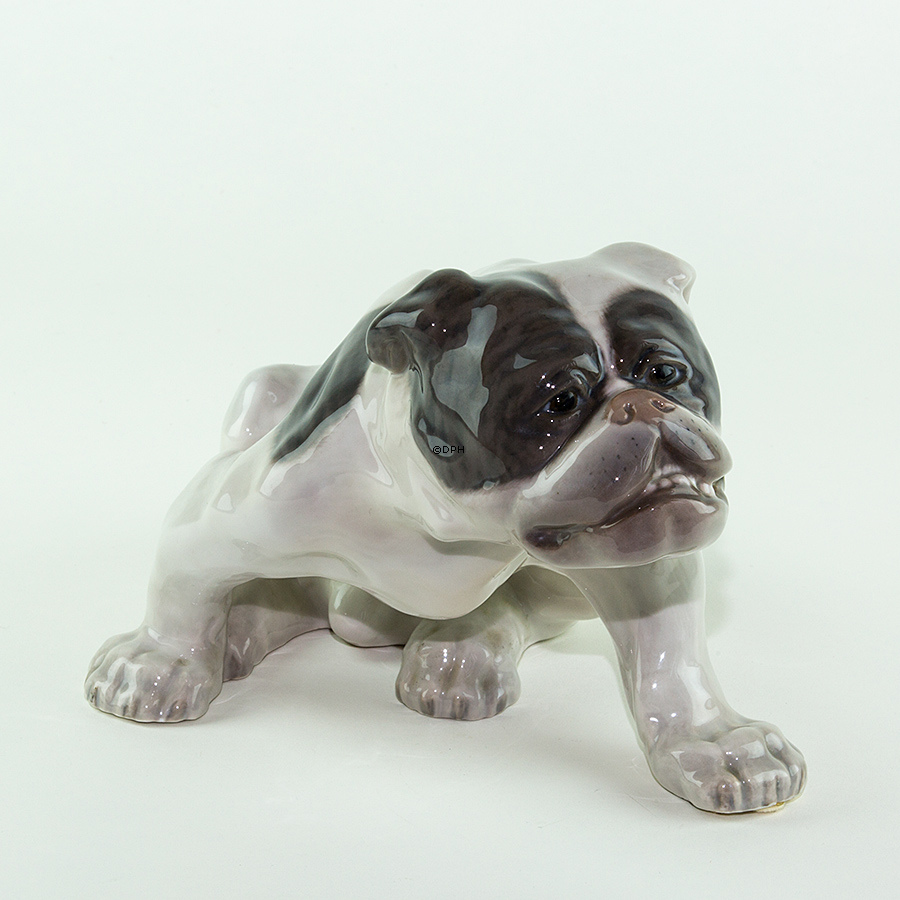 Engelsk bulldog, 18x33cm, Royal Copenhagen figur nr. 778 (Signeret Knud Kyhn 1907)