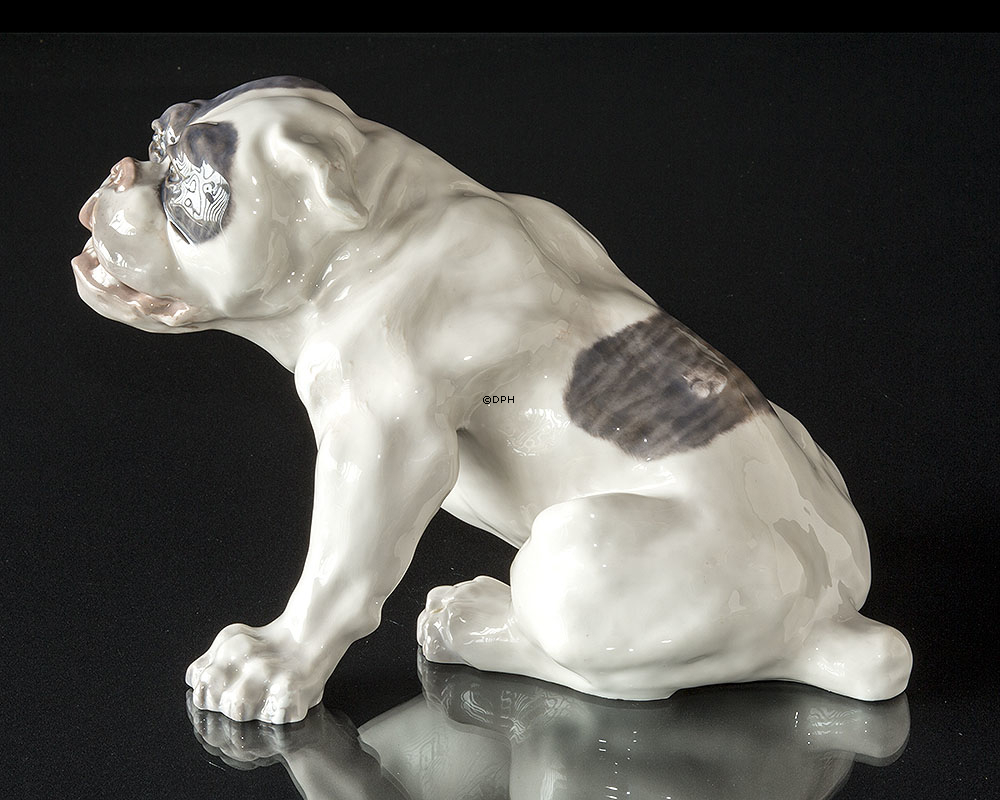 Engelsk bulldog, 23x38cm, Royal Copenhagen figur nr. 801 (Signeret Knud Kyhn 1907)