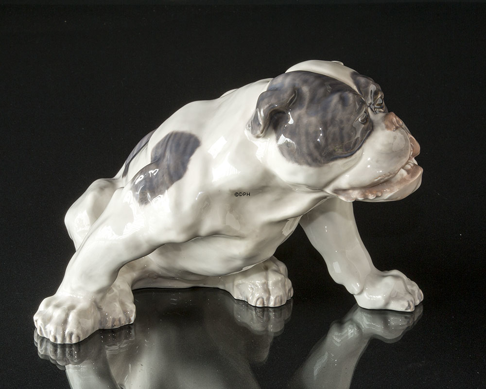 Engelsk bulldog, 23x38cm, Royal Copenhagen figur nr. 801 (Signeret Knud Kyhn 1907)