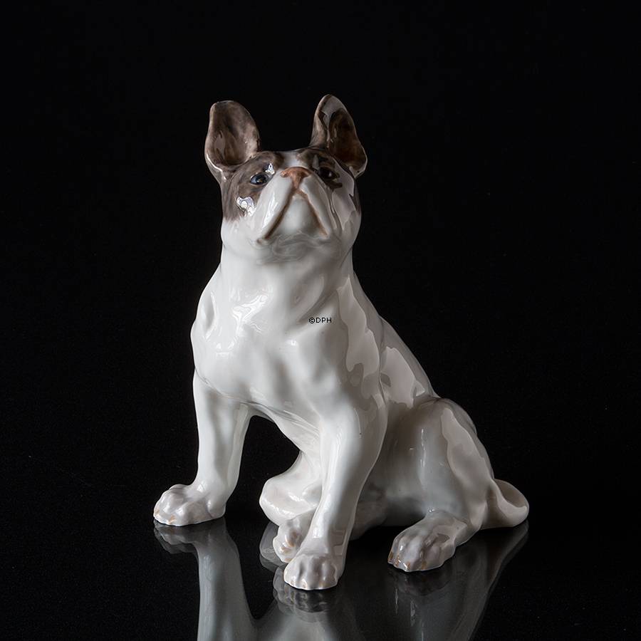 Fransk bulldog, Royal Copenhagen hunde figur nr. 956