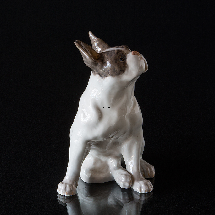Fransk bulldog, Royal Copenhagen hunde figur nr. 956