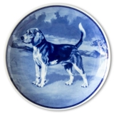 Ravn hundeplatte nr. 2, Beagle
