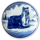 Ravn dog plate no. 5, Yorkshire terrier