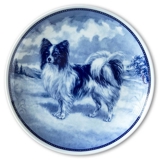 Ravn hundeplatte nr. 7, Papillon