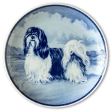 Ravn dog plate no. 11, Shihtzu