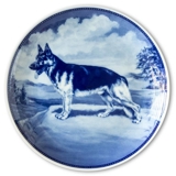 Ravn Hundeteller Nr. 16, Deutscher Schäferhund