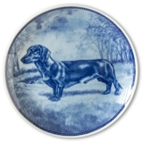 Ravn dog plate no. 25, Dachshund