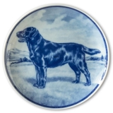 Ravn dog plate no. 29, Labrador Retriever