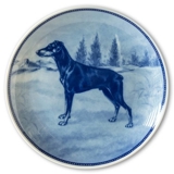 Ravn dog plate no. 30, Doberman Pinscher