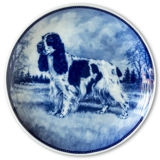 Ravn dog plate no. 31, Cocker Spaniel