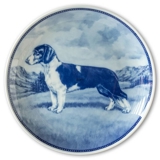 Ravn dog plate no. 34, Drever