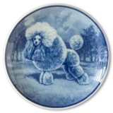 Ravn dog plate no. 38, Miniature Poodle