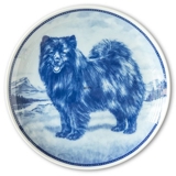 Ravn hundeplatte nr. 40, Finsk lapphund