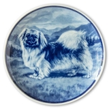 Ravn dog plate no. 42, Tibetan Spaniel