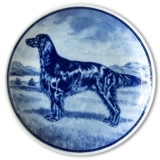 Ravn dog plate no. 43, Irish Setter