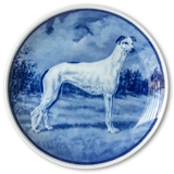 Ravn dog plate no. 45, Greyhound