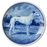 Ravn dog plate no. 46, Greyhound