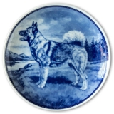 Ravn dog plate no. 47, Elkhound