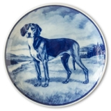 Ravn dog plate no. 53, Hamiltonstovare