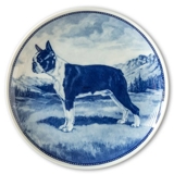 Ravn hundeplatte nr. 54, Boston Terrier