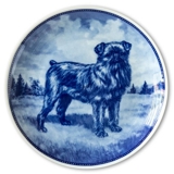 Ravn dog plate no. 55, Griffon Bruxellois