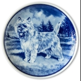 Ravn dog plate no. 56, Cairn Terrier