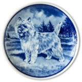 Ravn hundeplatte nr. 56, Cairn Terrier