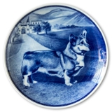 Ravn hundeplatte nr. 57, Welsch Corgi
