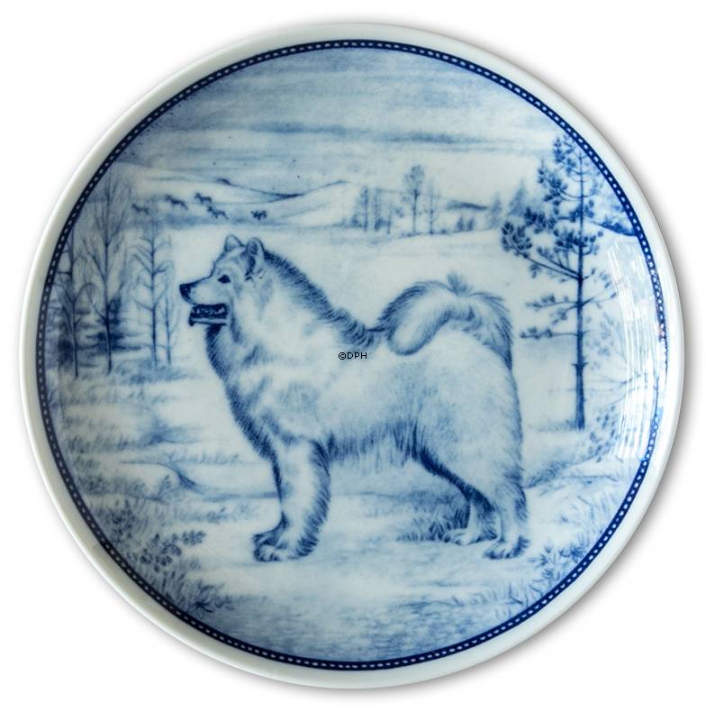 Ravn hundeplatte nr. 63, Samoyed