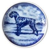 Ravn dog plate no. 64, Giant Schnauzer