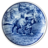 Ravn dog plate no. 65, English Bulldog