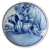 Ravn hundeplatte nr. 67, Skye Terrier