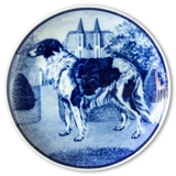 Ravn Hundeteller Nr. 75, Barsoi