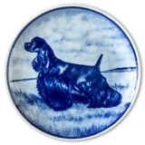 Ravn dog plate no. 78, American Cocker Spaniel