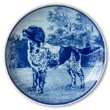 Ravn dog plate no. 84, Small Münsterländer