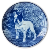 Ravn dog plate no. 88, French bulldog