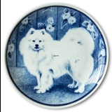 Ravn Hundeteller Nr. 89, Japanischer Spitz