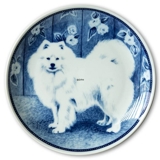 Ravn dog plate no. 89, Japanese Spitz