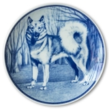 Ravn dog plate no. 94, Finnish Spitz