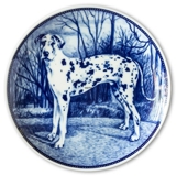 Ravn dog plate no. 100, Great Dane Harlequin