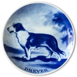 Ravn Hundeteller  Nr. 1, Drever