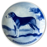 Ravn Hundeteller  Nr. 2, Hamiltonstövare